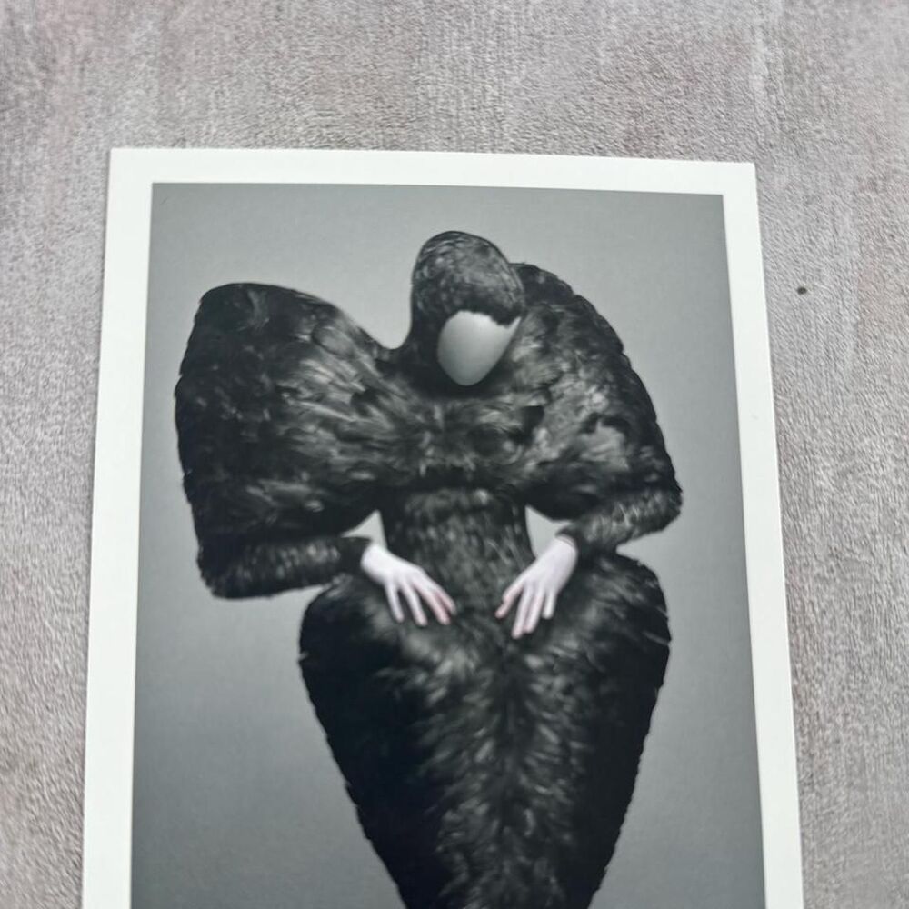 Alexander-mcqueen multi Prints - Picture 2 of 5